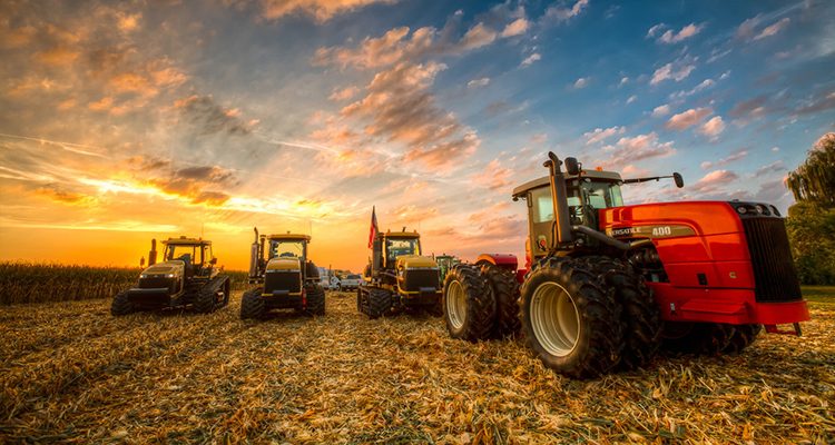 chuong trinh thuc tap co luong nganh nong nghiep thu y