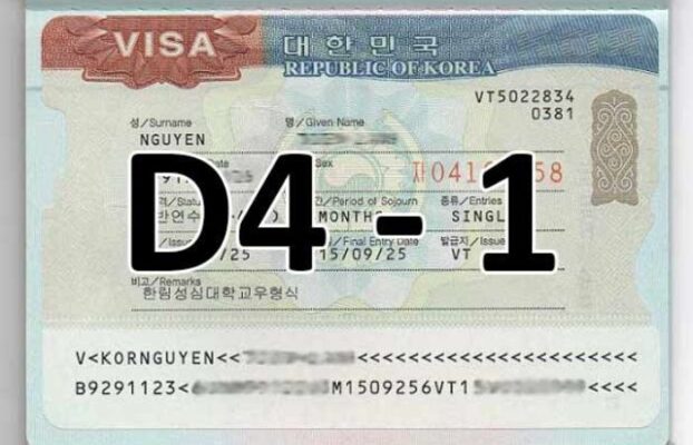 visa d4 1 2