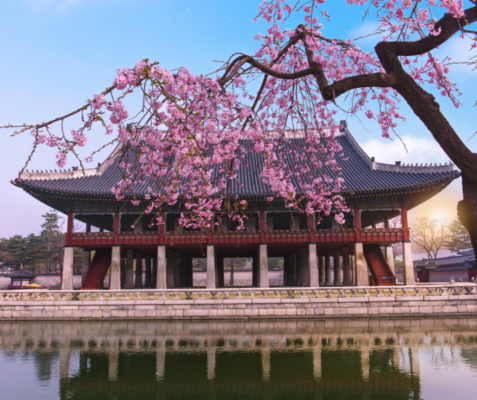 Light Gray 8 March Happy Womens Day Greeting Facebook Post 1