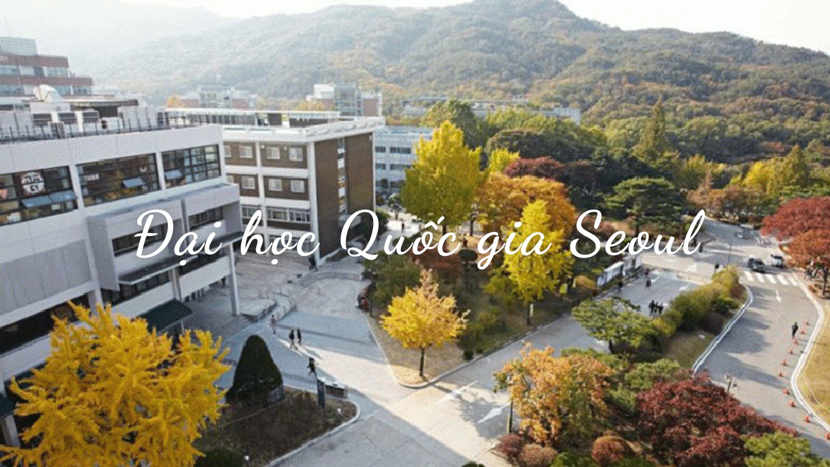 truong dai hoc quoc gia seoul han quoc