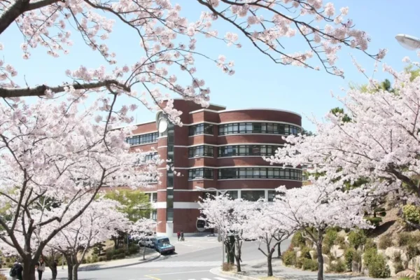 12778724 932605980190668 5642167123826497265 o scaled 1