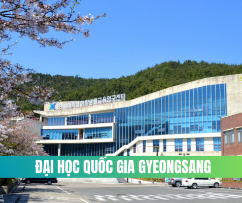 DAI HOC QUOC GIA GYEONGSANG