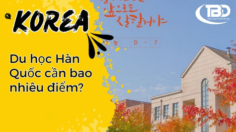 Du học Hàn Quốc cần bao nhiêu điểm
