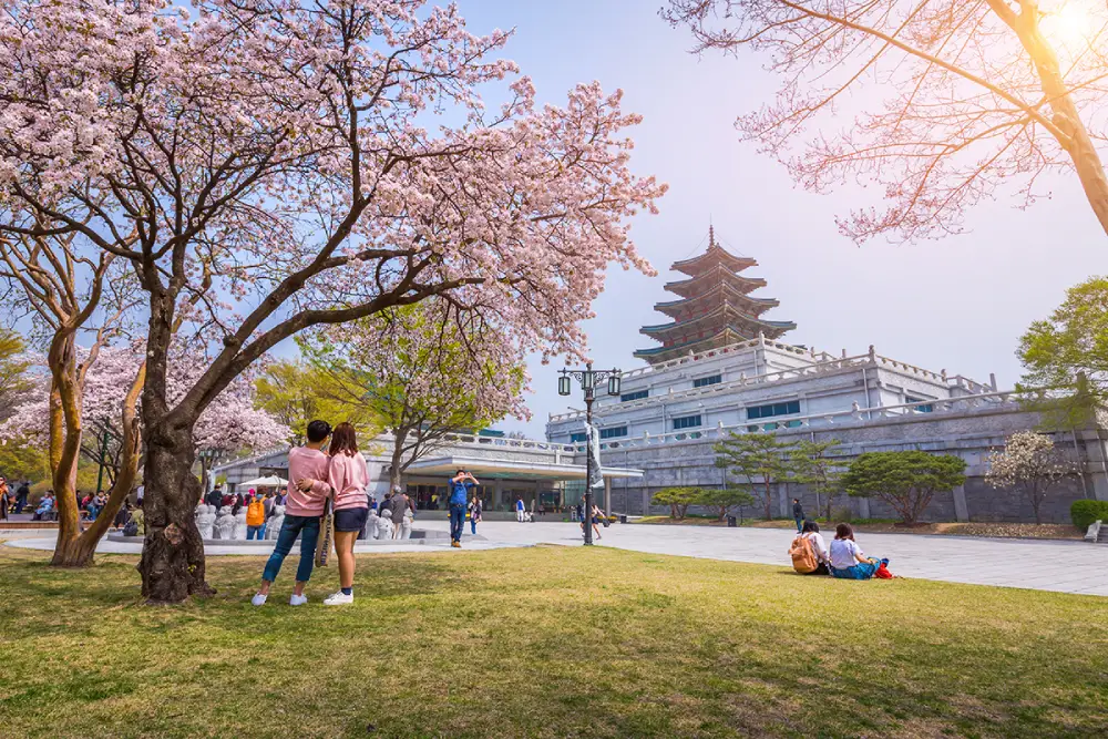 Tại sao nên chọn Du học Hàn Quốc tại Du học Thái Bình Dương