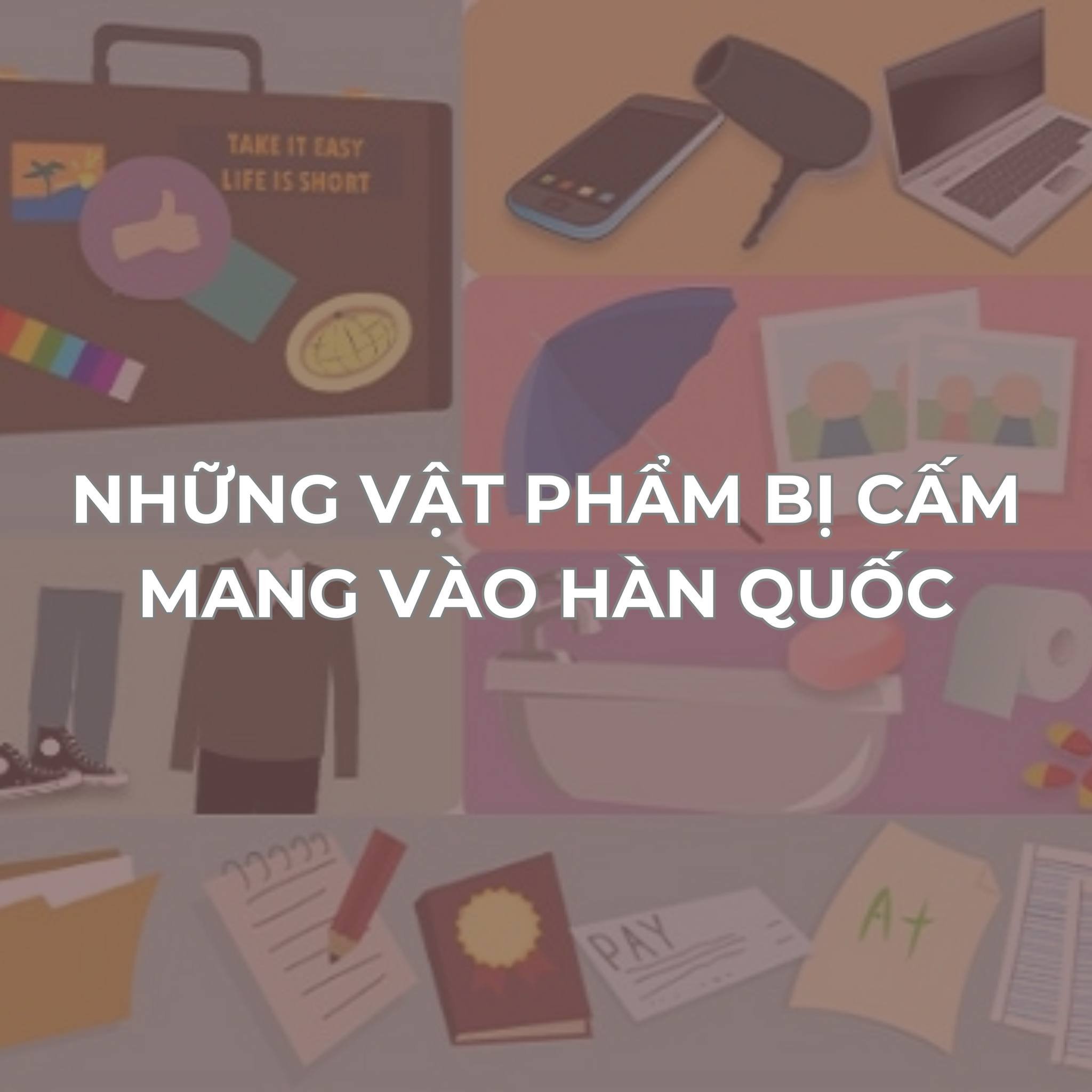 Những Thứ Bị Cấm Mang Vào Hàn Quốc 2025 Bạn Nên Biết