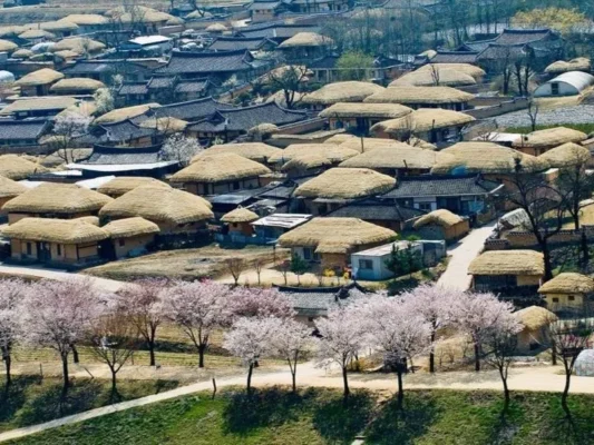 địa điểm du lịch Làng cổ Hahoe Hàn Quốc