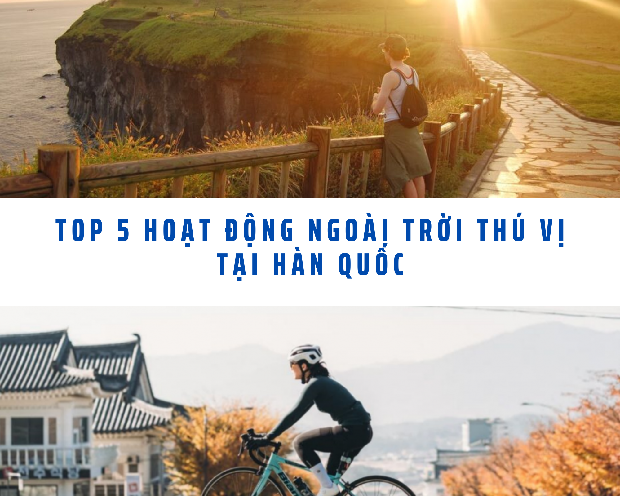 Hoạt động ngoài trời tại Hàn Quốc