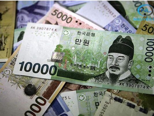 Lỗi số 11 du học Hàn Quốc là gì?